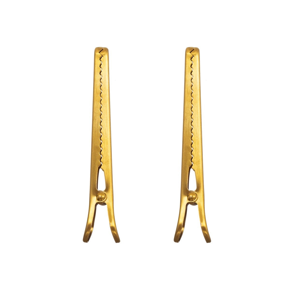 long brass colored clips - set of 2